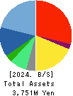 internet infinity INC. Balance Sheet 2024年3月期