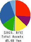 INTELLEX Co.,Ltd. Balance Sheet 2023年May期 INTELLEX Co.,Ltd. Balance Sheet 2023年5月期