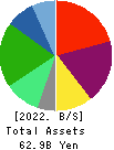 MEDICAL SYSTEM NETWORK Co.,Ltd. Balance Sheet 2022年Mar期 MEDICAL SYSTEM NETWORK Co.,Ltd. Balance Sheet 2022年3月期