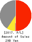 SEIKO CORPORATION Profit and Loss Account 2017年Mar期 SEIKO CORPORATION Profit and Loss Account 2017年3月期
