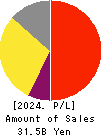 Premium Group Co.,Ltd. Profit and Loss Account 2024年3月期