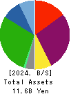 AIAI Group Corporation Balance Sheet 2024年Mar期 AIAI Group Corporation Balance Sheet 2024年3月期