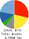 StemCell Institute Inc. Balance Sheet 2024年3月期