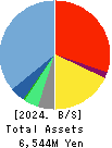 kaonavi, inc. Balance Sheet 2024年Mar期 kaonavi, inc. Balance Sheet 2024年3月期