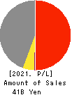 DVx Inc. Profit and Loss Account 2021年3月期