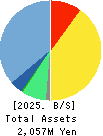 Brains Technology,Inc. Balance Sheet 2025年7月期