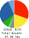 MARUICHI CO.,LTD. Balance Sheet 2024年Mar期 MARUICHI CO.,LTD. Balance Sheet 2024年3月期