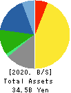 TOYO Corporation Balance Sheet 2020年Sep期 TOYO Corporation Balance Sheet 2020年9月期