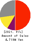TEIN, INC. Profit and Loss Account 2021年3月期