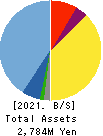 ProjectCompany,Inc. Balance Sheet 2021年Dec期 ProjectCompany,Inc. Balance Sheet 2021年12月期