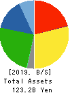 IJTT Co.,Ltd. Balance Sheet 2019年3月期