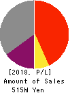 RISE Inc. Profit and Loss Account 2018年Mar期 RISE Inc. Profit and Loss Account 2018年3月期