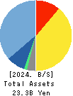 FAN Communications, Inc. Balance Sheet 2024年Dec期 FAN Communications, Inc. Balance Sheet 2024年12月期
