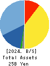 ANYCOLOR Inc. Balance Sheet 2024年Apr期 ANYCOLOR Inc. Balance Sheet 2024年4月期