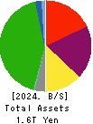 SEIBU HOLDINGS INC. Balance Sheet 2024年3月期