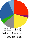 AIZAWA SECURITIES GROUP CO.,LTD. Balance Sheet 2025年3月期