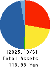 TOMEN DEVICES CORPORATION Balance Sheet 2025年Mar期 TOMEN DEVICES CORPORATION Balance Sheet 2025年3月期
