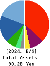 PIA CORPORATION Balance Sheet 2024年Mar期 PIA CORPORATION Balance Sheet 2024年3月期