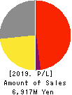 DREAM VISION CO.,LTD. Profit and Loss Account 2019年Mar期 DREAM VISION CO.,LTD. Profit and Loss Account 2019年3月期