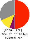 Choei Inc. Profit and Loss Account 2020年Mar期 Choei Inc. Profit and Loss Account 2020年3月期