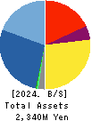 Gaiax Co.Ltd. Balance Sheet 2024年Dec期 Gaiax Co.Ltd. Balance Sheet 2024年12月期