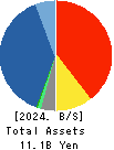 Anshin Guarantor Service Co.,Ltd. Balance Sheet 2024年3月期