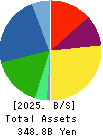 SAWAI GROUP HOLDINGS Co., Ltd. Balance Sheet 2025年Mar期 SAWAI GROUP HOLDINGS Co., Ltd. Balance Sheet 2025年3月期
