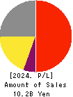 OPTiM CORPORATION Profit and Loss Account 2024年Mar期 OPTiM CORPORATION Profit and Loss Account 2024年3月期