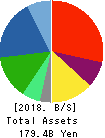 YAMAE GROUP HOLDINGS CO.,LTD. Balance Sheet 2018年Mar期 YAMAE GROUP HOLDINGS CO.,LTD. Balance Sheet 2018年3月期