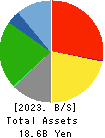 Cocolonet CO., LTD. Balance Sheet 2023年Mar期 Cocolonet CO., LTD. Balance Sheet 2023年3月期