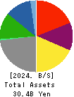 FREESIA MACROSS CORPORATION Balance Sheet 2024年Mar期 FREESIA MACROSS CORPORATION Balance Sheet 2024年3月期