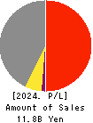 AIAI Group Corporation Profit and Loss Account 2024年Mar期 AIAI Group Corporation Profit and Loss Account 2024年3月期