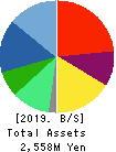 BroadBand Security, Inc. Balance Sheet 2019年6月期