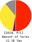 AXXZIA Inc. Profit and Loss Account 2024年Jul期 AXXZIA Inc. Profit and Loss Account 2024年7月期