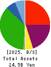 TOSHIN HOLDINGS CO.,LTD Balance Sheet 2025年4月期