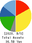 SNT CORPORATION Balance Sheet 2020年3月期