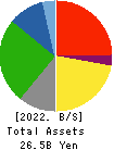 TSUKAMOTO CORPORATION CO.,LTD. Balance Sheet 2022年Mar期 TSUKAMOTO CORPORATION CO.,LTD. Balance Sheet 2022年3月期
