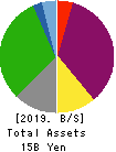 Metaplanet KK Balance Sheet 2019年12月期