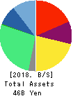 SMS CO.,LTD. Balance Sheet 2018年Mar期 SMS CO.,LTD. Balance Sheet 2018年3月期