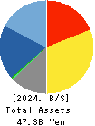 SRA Holdings,Inc. Balance Sheet 2024年3月期