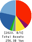 TOYO ENGINEERING CORPORATION Balance Sheet 2023年Mar期 TOYO ENGINEERING CORPORATION Balance Sheet 2023年3月期