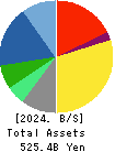 TIS Inc. Balance Sheet 2024年Mar期 TIS Inc. Balance Sheet 2024年3月期