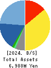 eSOL Co.,Ltd. Balance Sheet 2024年Dec期 eSOL Co.,Ltd. Balance Sheet 2024年12月期
