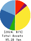 FJ NEXT HOLDINGS CO., LTD. Balance Sheet 2024年Mar期 FJ NEXT HOLDINGS CO., LTD. Balance Sheet 2024年3月期