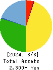 RISE Inc. Balance Sheet 2024年3月期