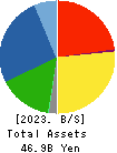 UEKI CORPORATION Balance Sheet 2023年3月期
