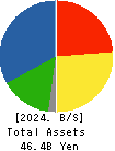 NIHON SHOKUHIN KAKO CO.,LTD. Balance Sheet 2024年Mar期 NIHON SHOKUHIN KAKO CO.,LTD. Balance Sheet 2024年3月期