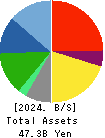 CHARM CARE CORPORATION Balance Sheet 2024年Jun期 CHARM CARE CORPORATION Balance Sheet 2024年6月期