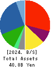 Hibino Corporation Balance Sheet 2024年Mar期 Hibino Corporation Balance Sheet 2024年3月期