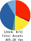 Daiwabo Holdings Co., Ltd. Balance Sheet 2024年Mar期 Daiwabo Holdings Co., Ltd. Balance Sheet 2024年3月期